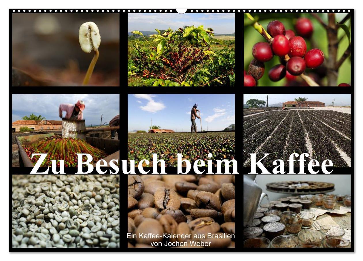 Cover: 9783435587322 | Zu Besuch beim Kaffee (Wandkalender 2025 DIN A2 quer), CALVENDO...