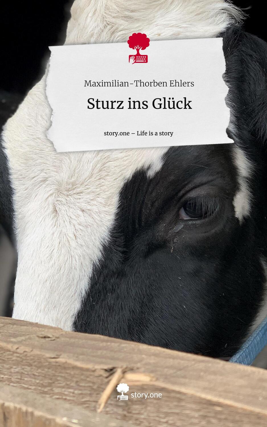 Cover: 9783711566560 | Sturz ins Glück. Life is a Story - story.one | Ehlers | Buch | 80 S.