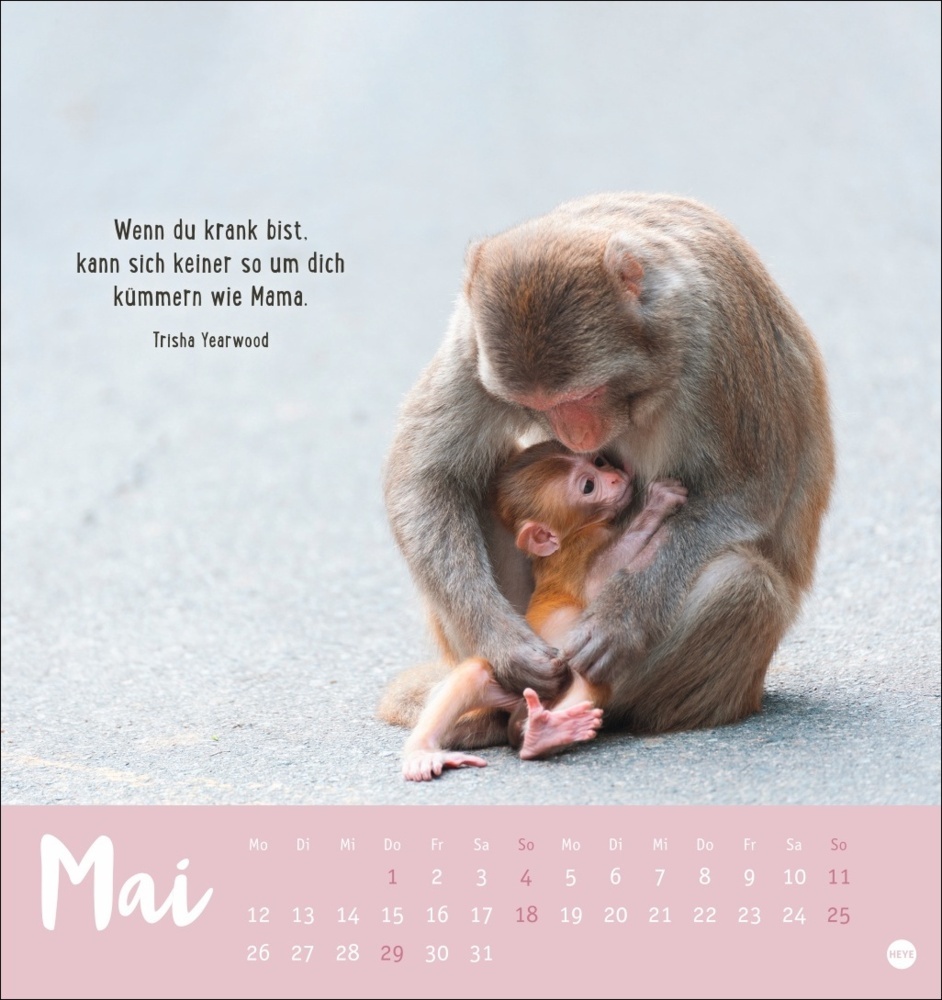 Bild: 9783756407194 | Mama! Postkartenkalender 2025 - Ohne dich geht nix! | Kalender | 13 S.