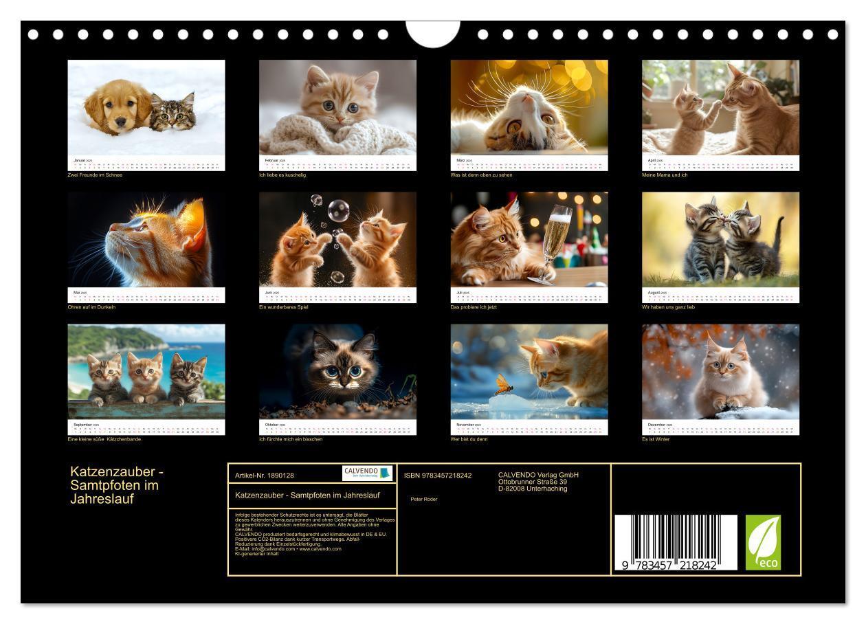 Bild: 9783457218242 | Katzenzauber - Samtpfoten im Jahreslauf (Wandkalender 2025 DIN A4...