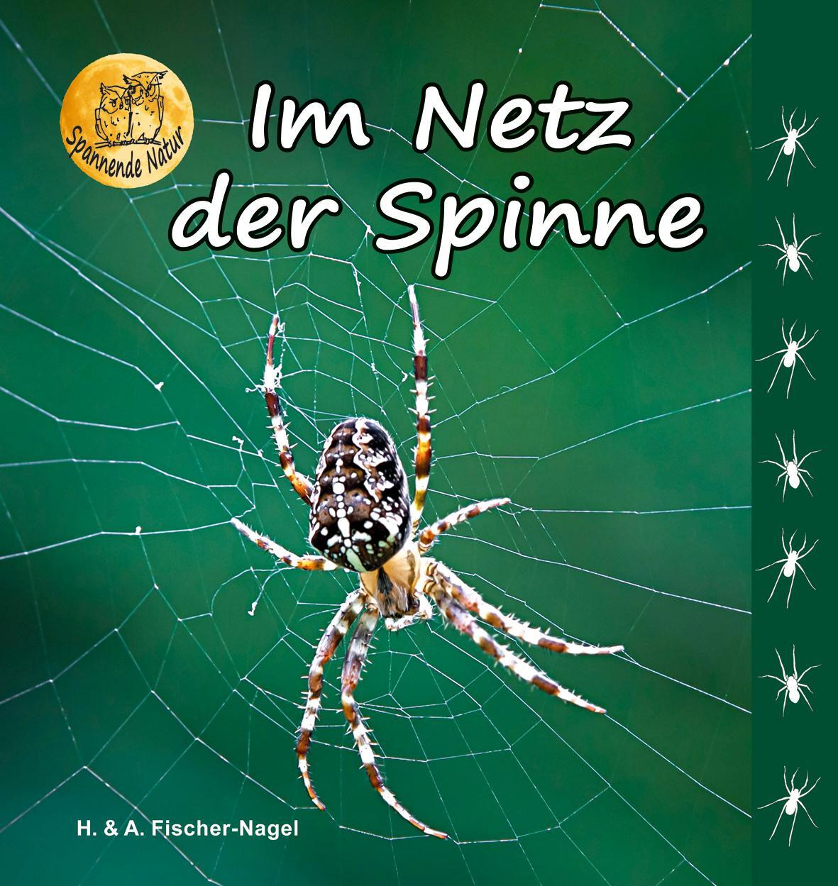 Cover: 9783930038688 | Im Netz der Spinne | Heiderose Fischer-Nagel (u. a.) | Buch | 46 S.