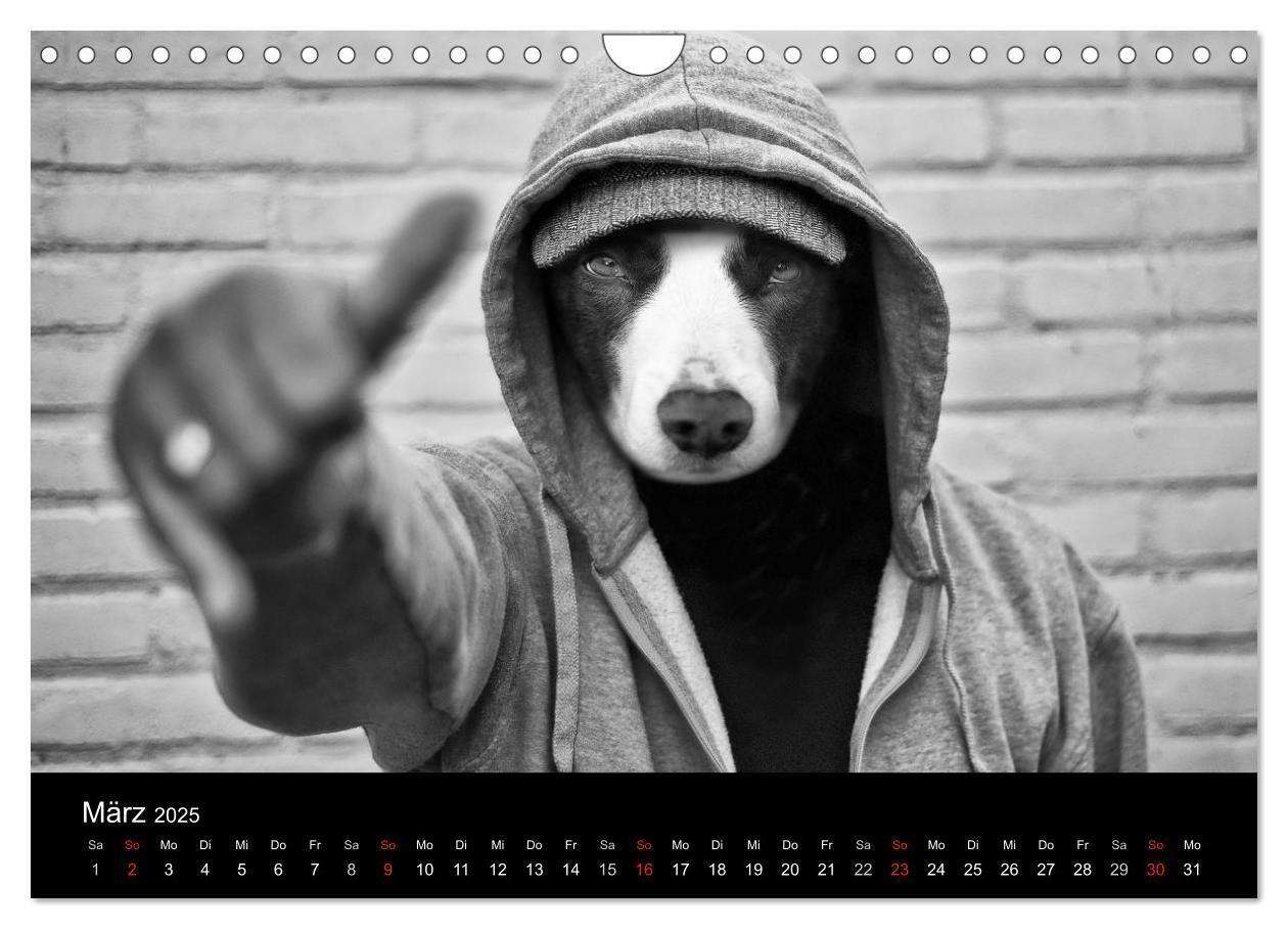 Bild: 9783435781522 | Hütehunde (Wandkalender 2025 DIN A4 quer), CALVENDO Monatskalender