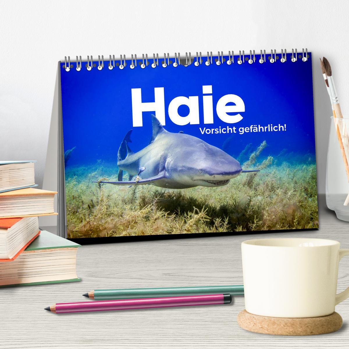 Bild: 9783457182765 | Haie - Vorsicht gefährlich! (Tischkalender 2025 DIN A5 quer),...