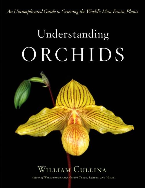 Cover: 9780618263264 | Understanding Orchids | William Cullina | Buch | Englisch | 2004