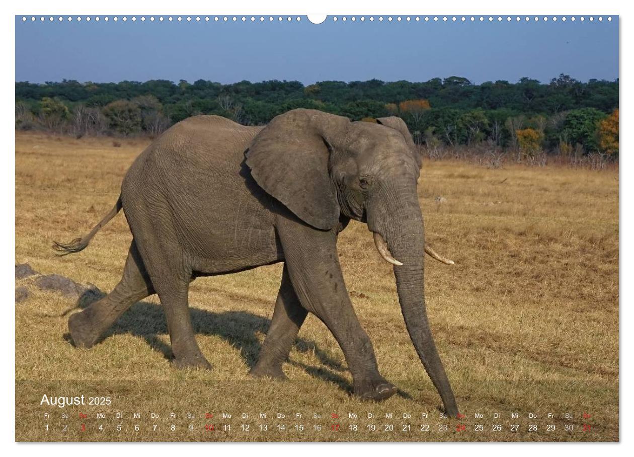 Bild: 9783435765799 | Zimbabwe (hochwertiger Premium Wandkalender 2025 DIN A2 quer),...