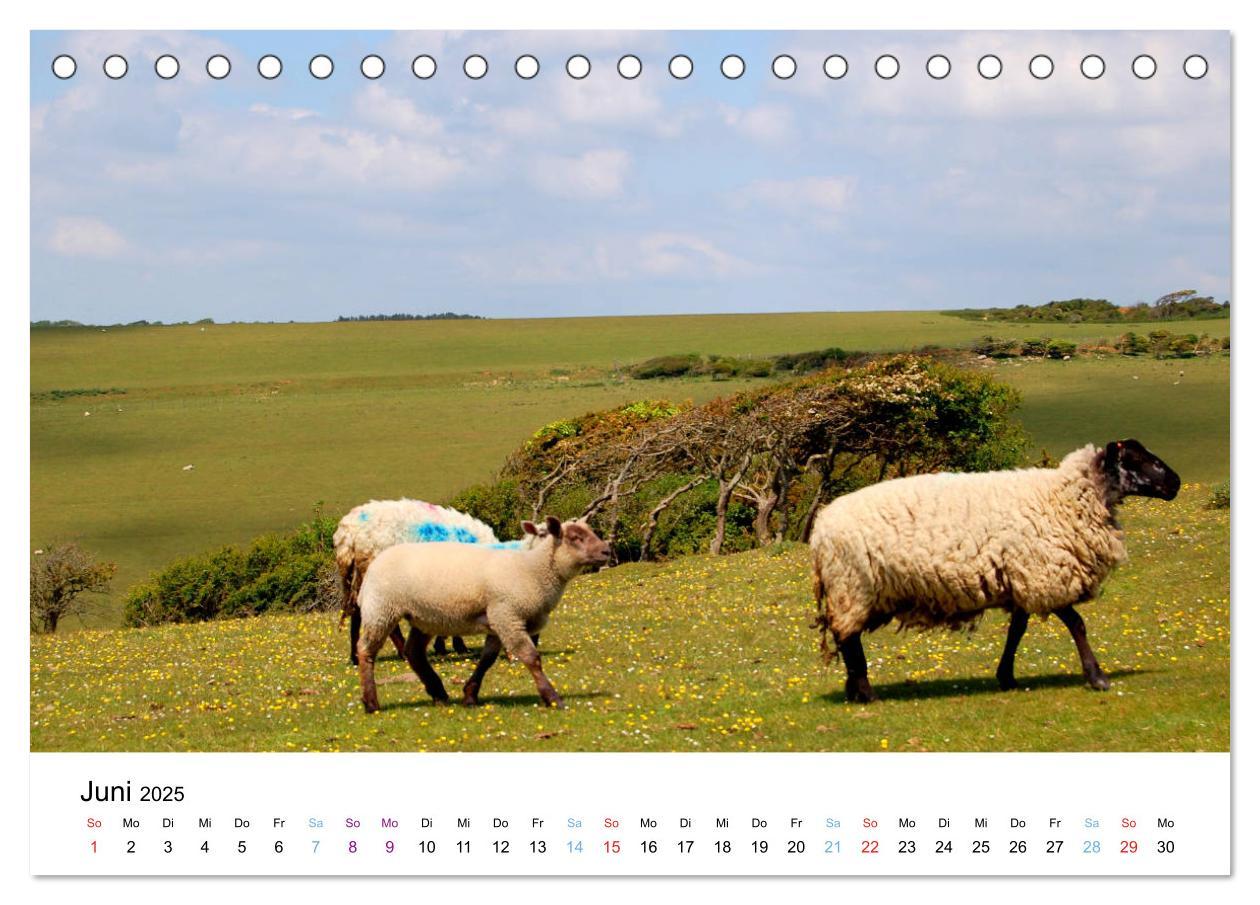 Bild: 9783435172221 | East Sussex (Tischkalender 2025 DIN A5 quer), CALVENDO Monatskalender