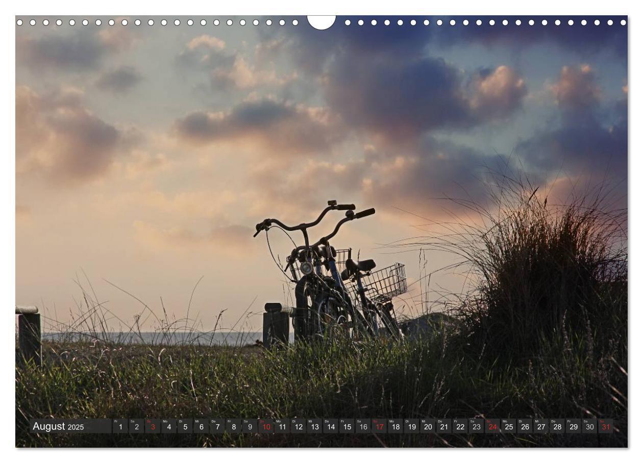 Bild: 9783435755417 | Insel Hiddensee (Wandkalender 2025 DIN A3 quer), CALVENDO...