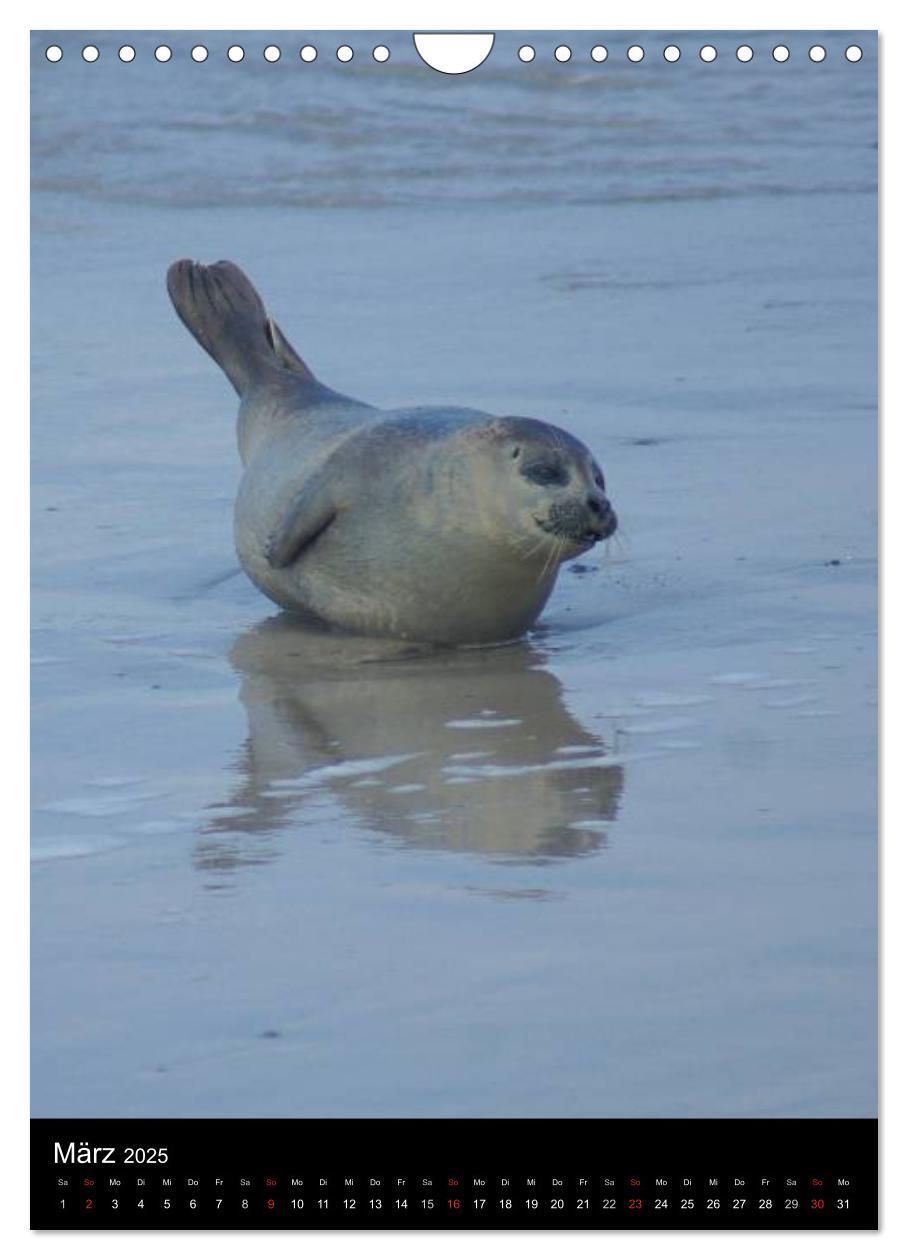 Bild: 9783457083291 | Helgoland in der Nordsee (Wandkalender 2025 DIN A4 hoch), CALVENDO...