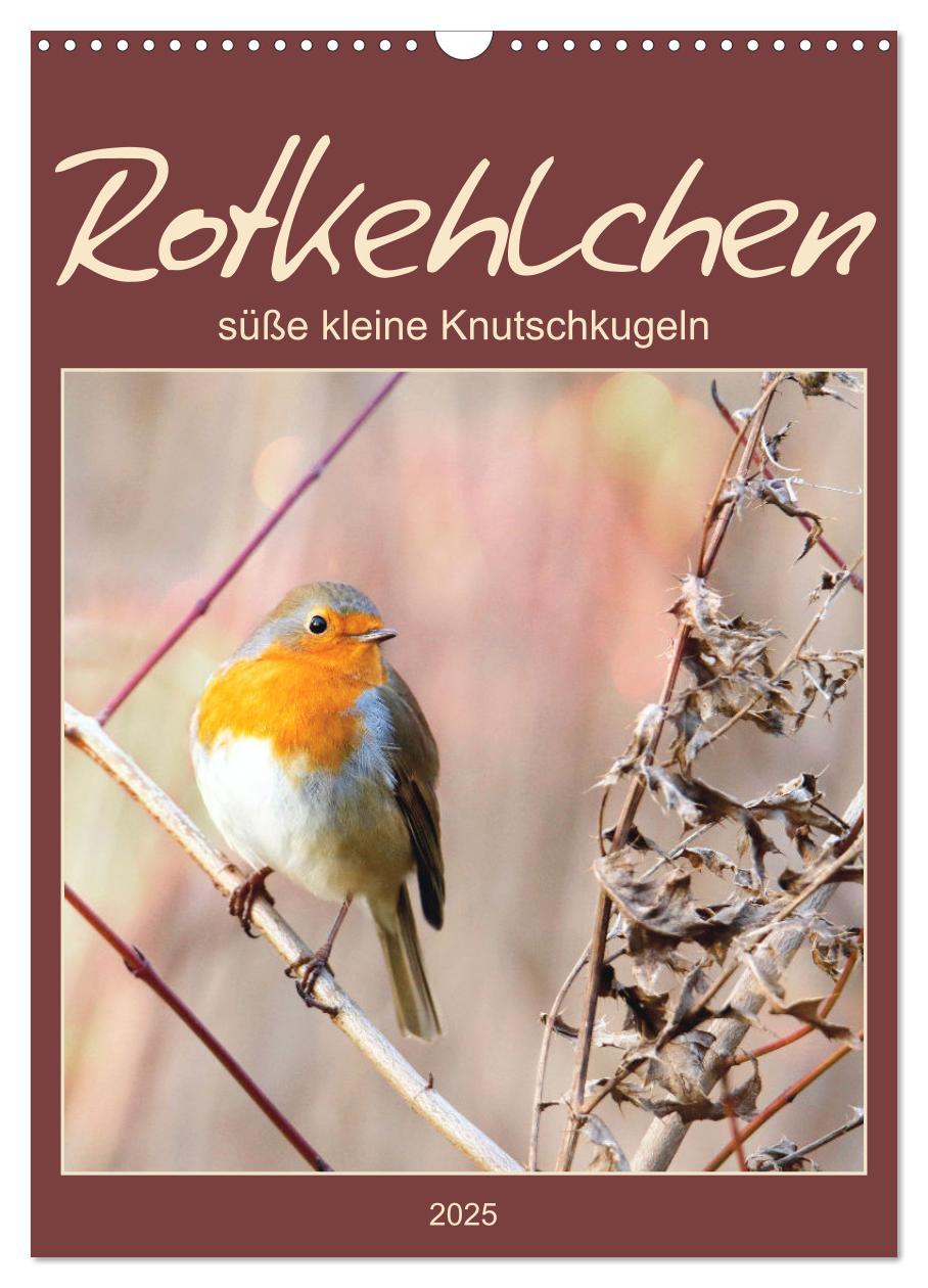 Cover: 9783435929627 | Rotkehlchen, süße kleine Knutschkugeln (Wandkalender 2025 DIN A3...