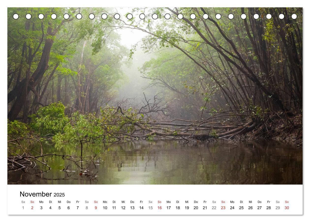 Bild: 9783435335992 | Mythos Amazonas - Naturparadies Brasiliens (Tischkalender 2025 DIN...