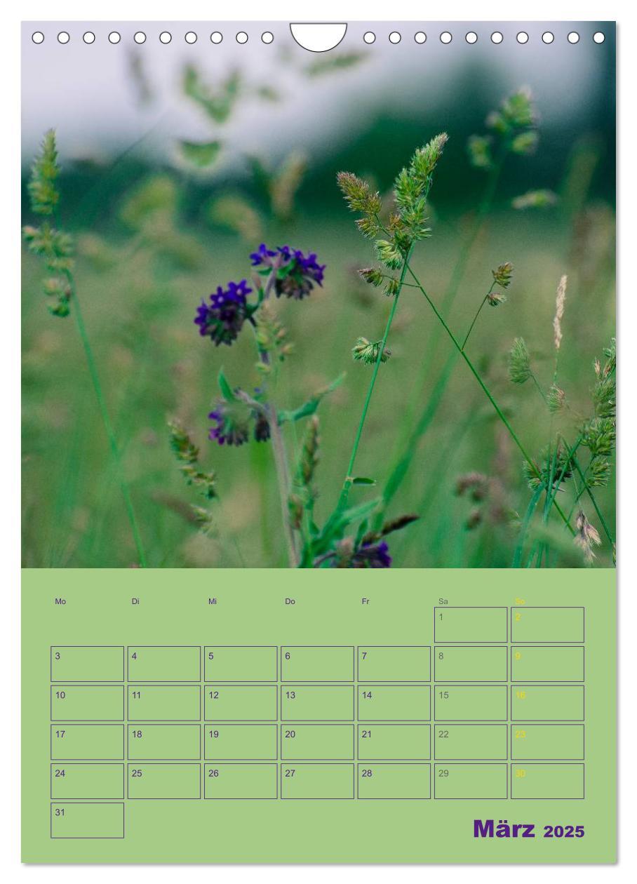 Bild: 9783457055540 | Wald- und Wiesenkalender 2025 Planer (Wandkalender 2025 DIN A4...