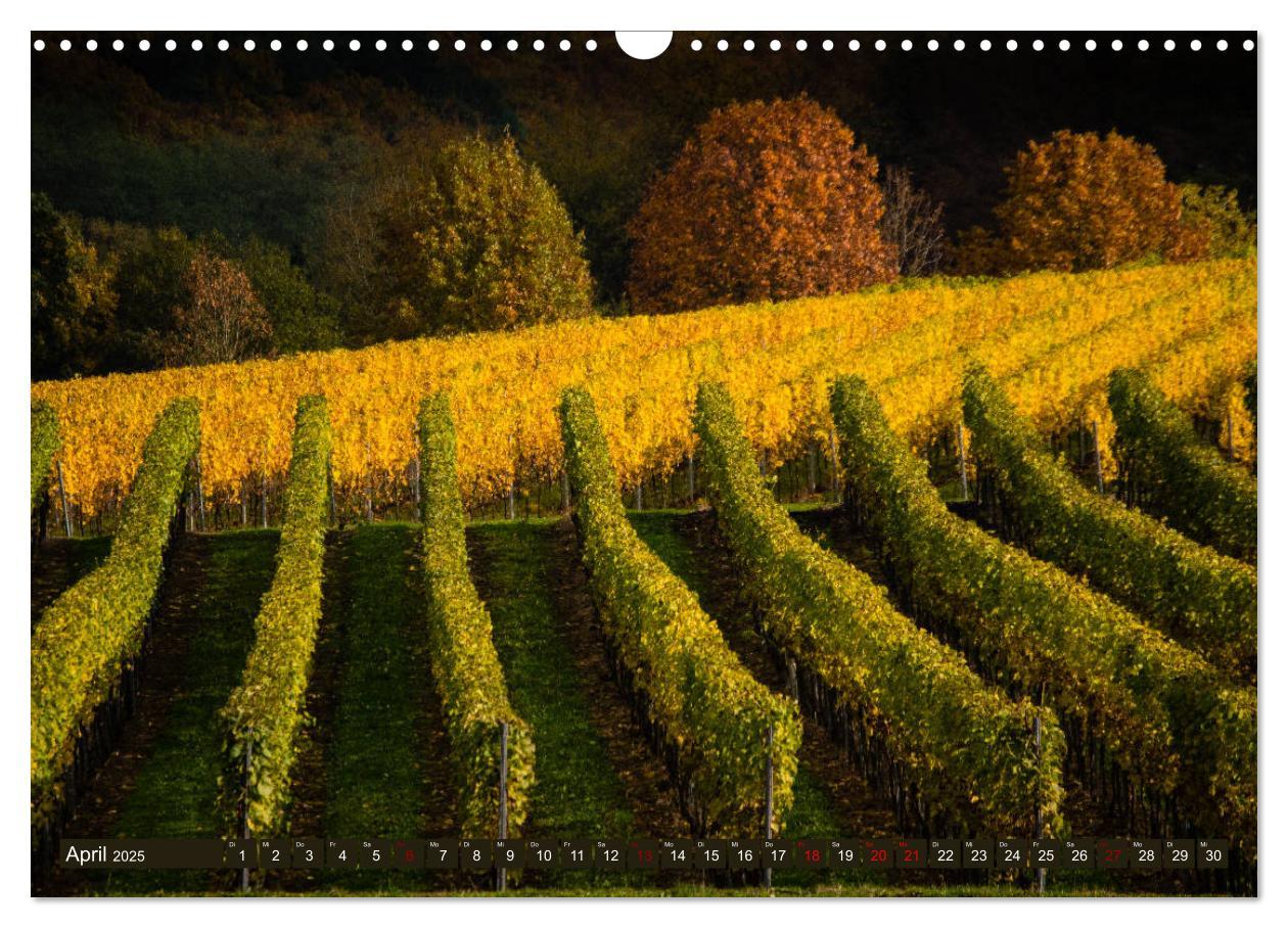 Bild: 9783435337705 | Wein - Landschaften (Wandkalender 2025 DIN A3 quer), CALVENDO...