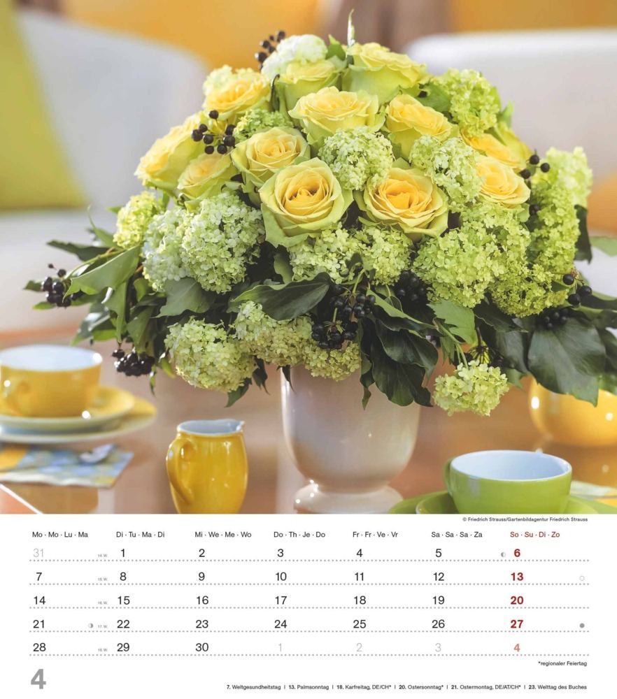 Bild: 4251732342135 | Alpha Edition - Der Duft der Rosen 2025 Bildkalender, 30,x34cm,...