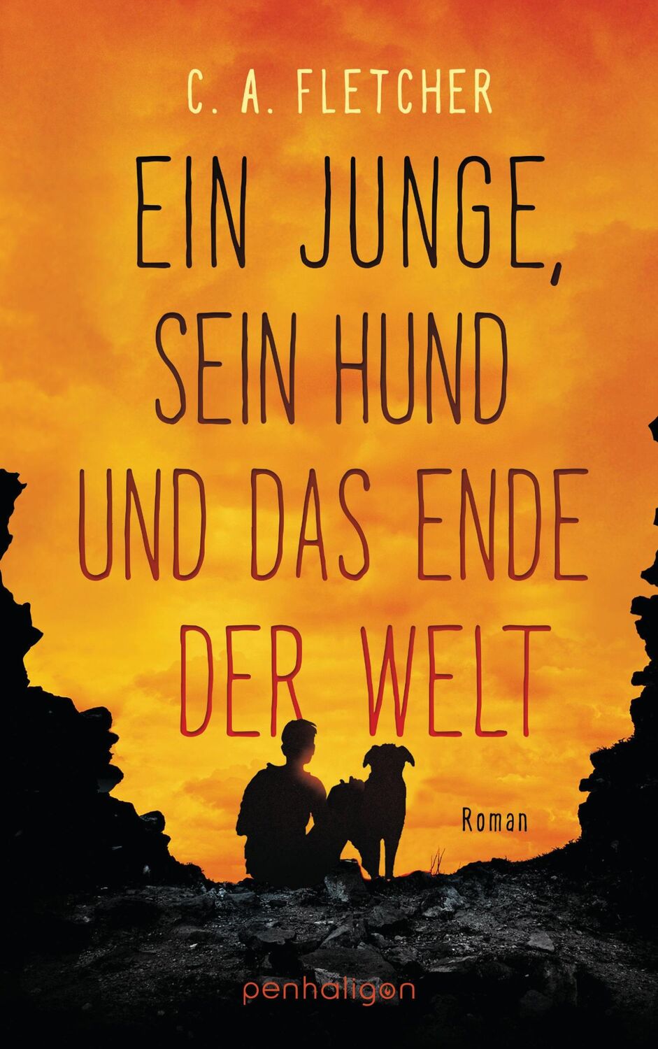 Cover: 9783764532321 | Ein Junge, sein Hund und das Ende der Welt | C. A. Fletcher | Buch