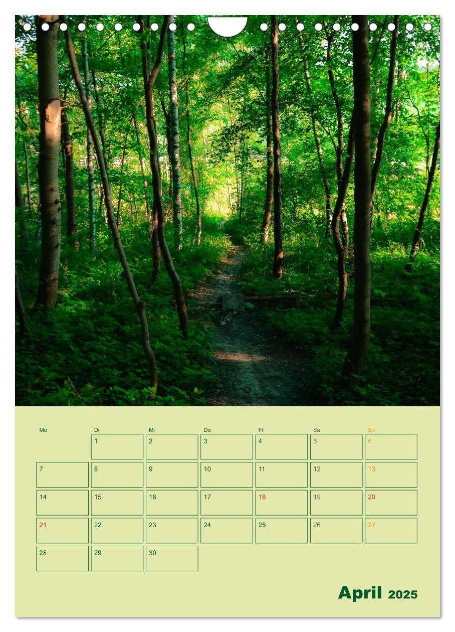 Bild: 9783457055540 | Wald- und Wiesenkalender 2025 Planer (Wandkalender 2025 DIN A4...