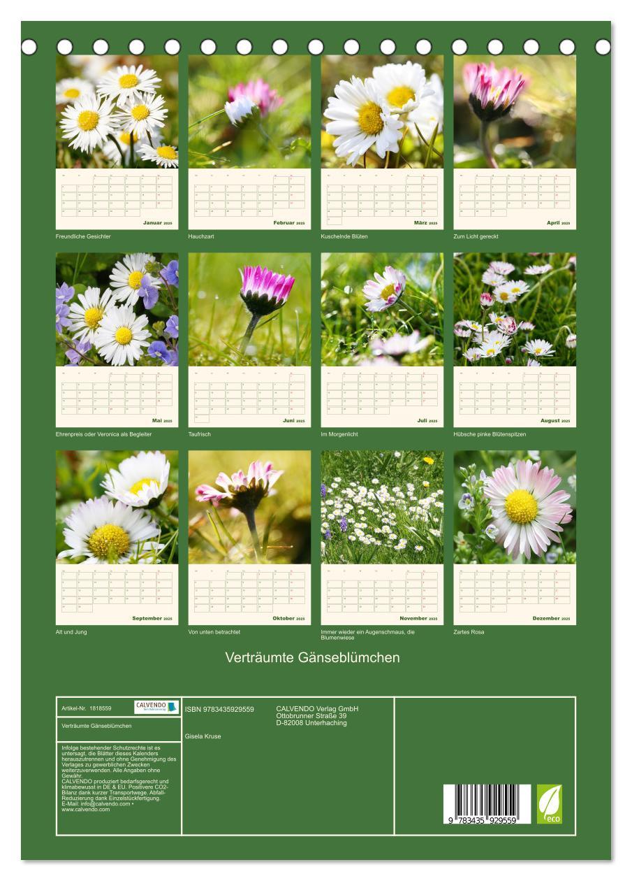 Bild: 9783435929559 | Verträumte Gänseblümchen (Tischkalender 2025 DIN A5 hoch), CALVENDO...