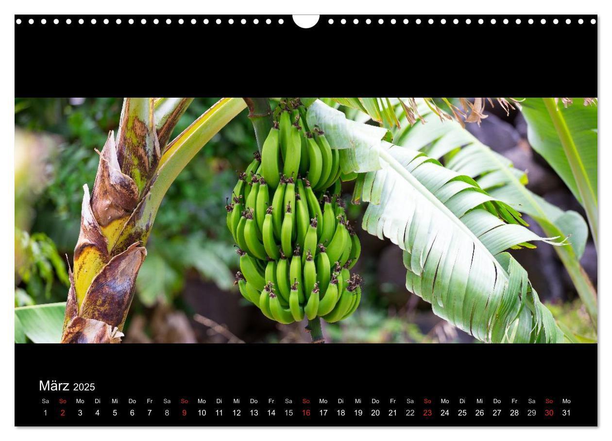 Bild: 9783435676521 | La Gomera - Kanarisches Naturparadies (Wandkalender 2025 DIN A3...