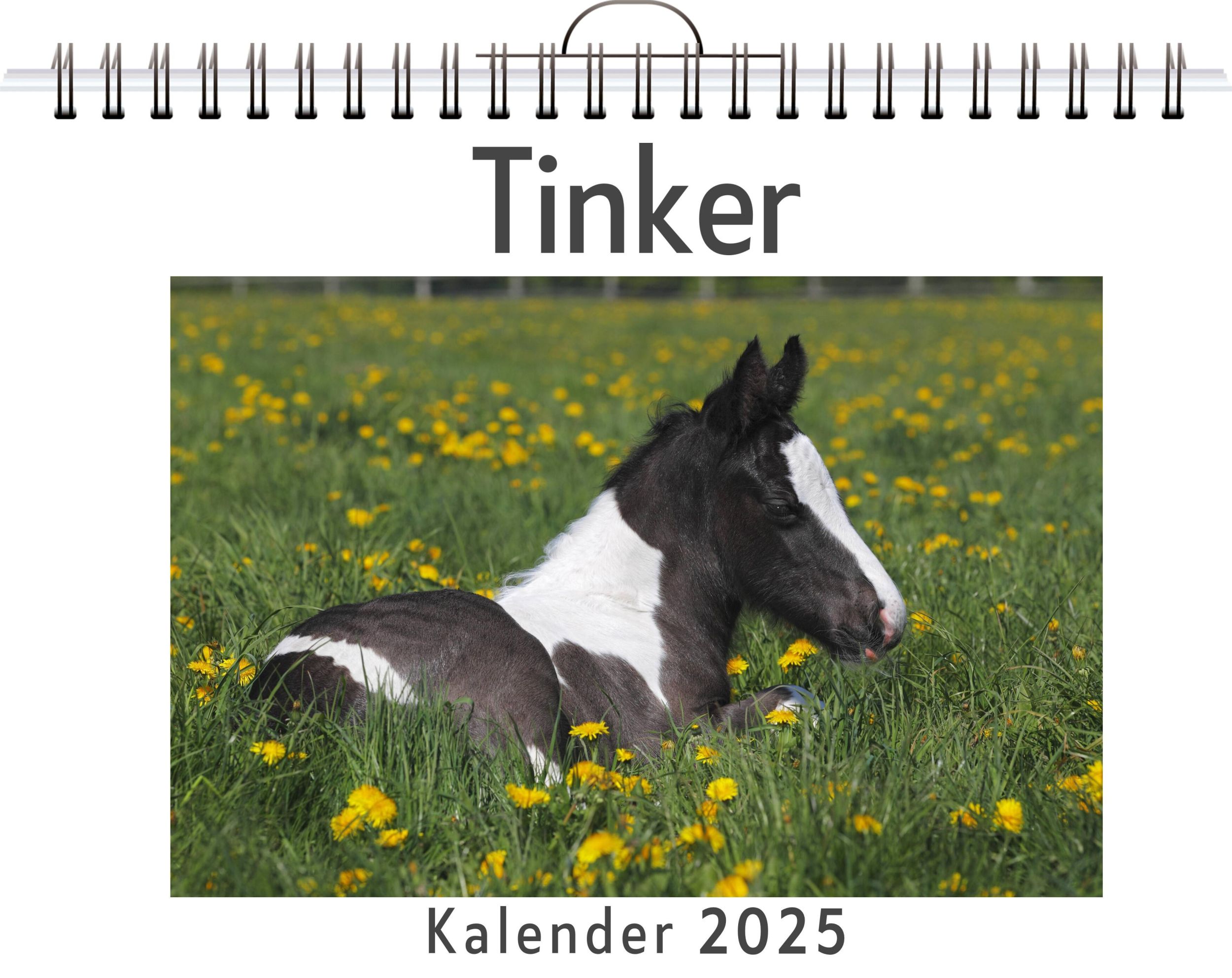 Cover: 9783759132109 | Tinker | Clara Horn | Kalender | Kalender | 14 S. | Deutsch | FlipFlop