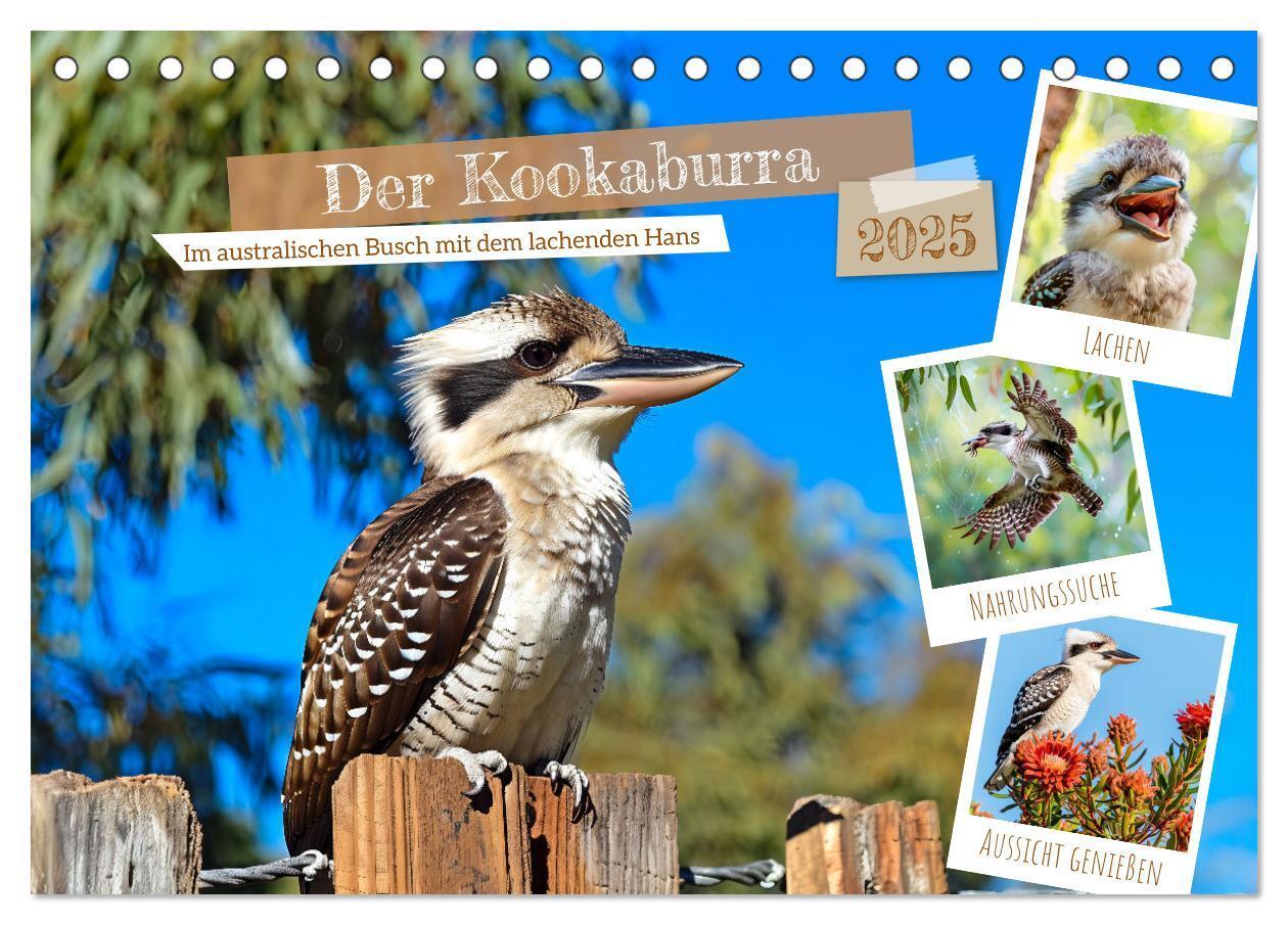 Cover: 9783383777936 | Der Kookaburra - Im australischen Busch mit dem lachenden Hans...