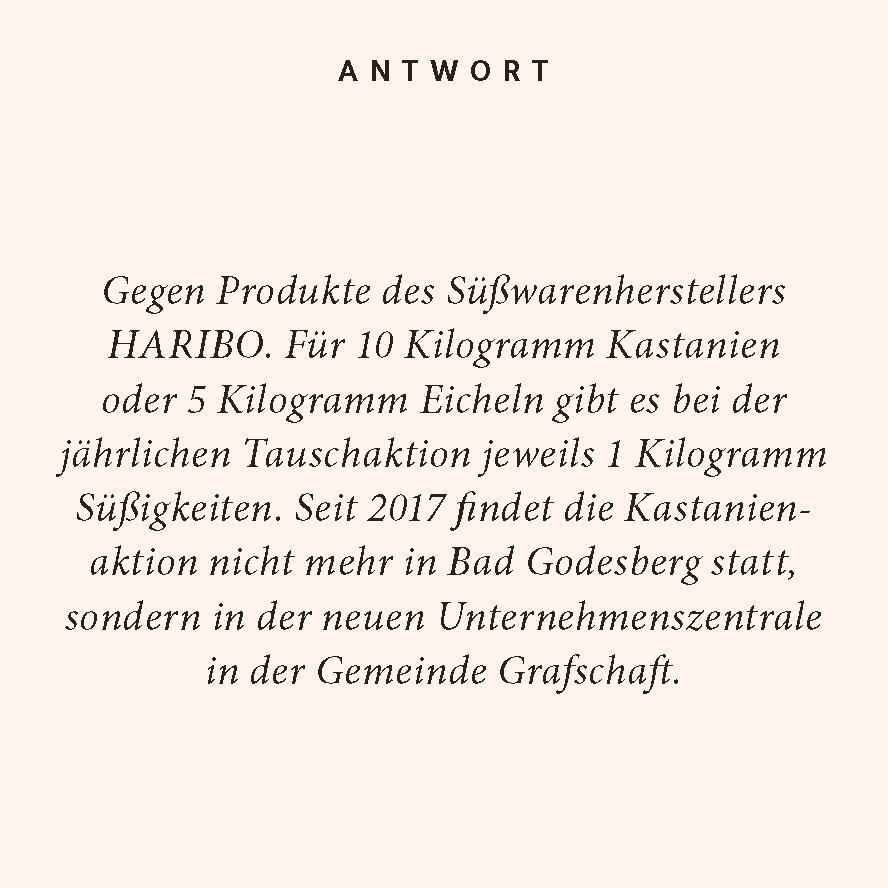 Bild: 9783899784770 | Bonn-Quiz | 100 Fragen und Antworten | Barbara Steingießer | Buch