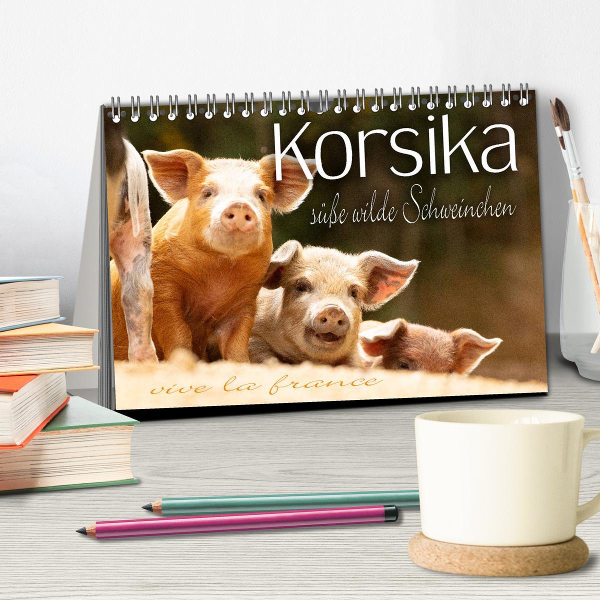 Bild: 9783435260546 | Korsika - süße, wilde Schweinchen (Tischkalender 2025 DIN A5 quer),...