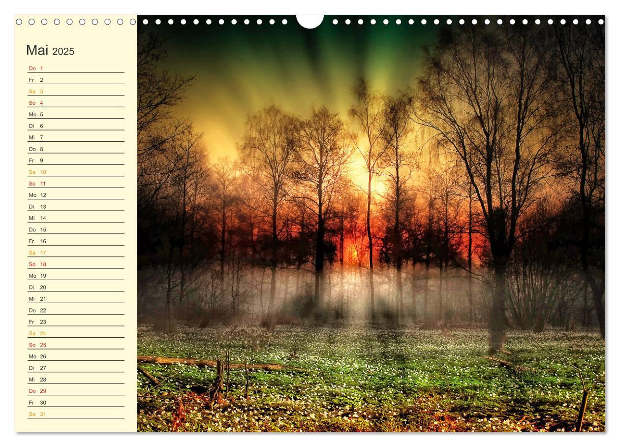 Bild: 9783435791828 | Friesland, verzauberte Landschaft an der Nordsee (Wandkalender 2025...