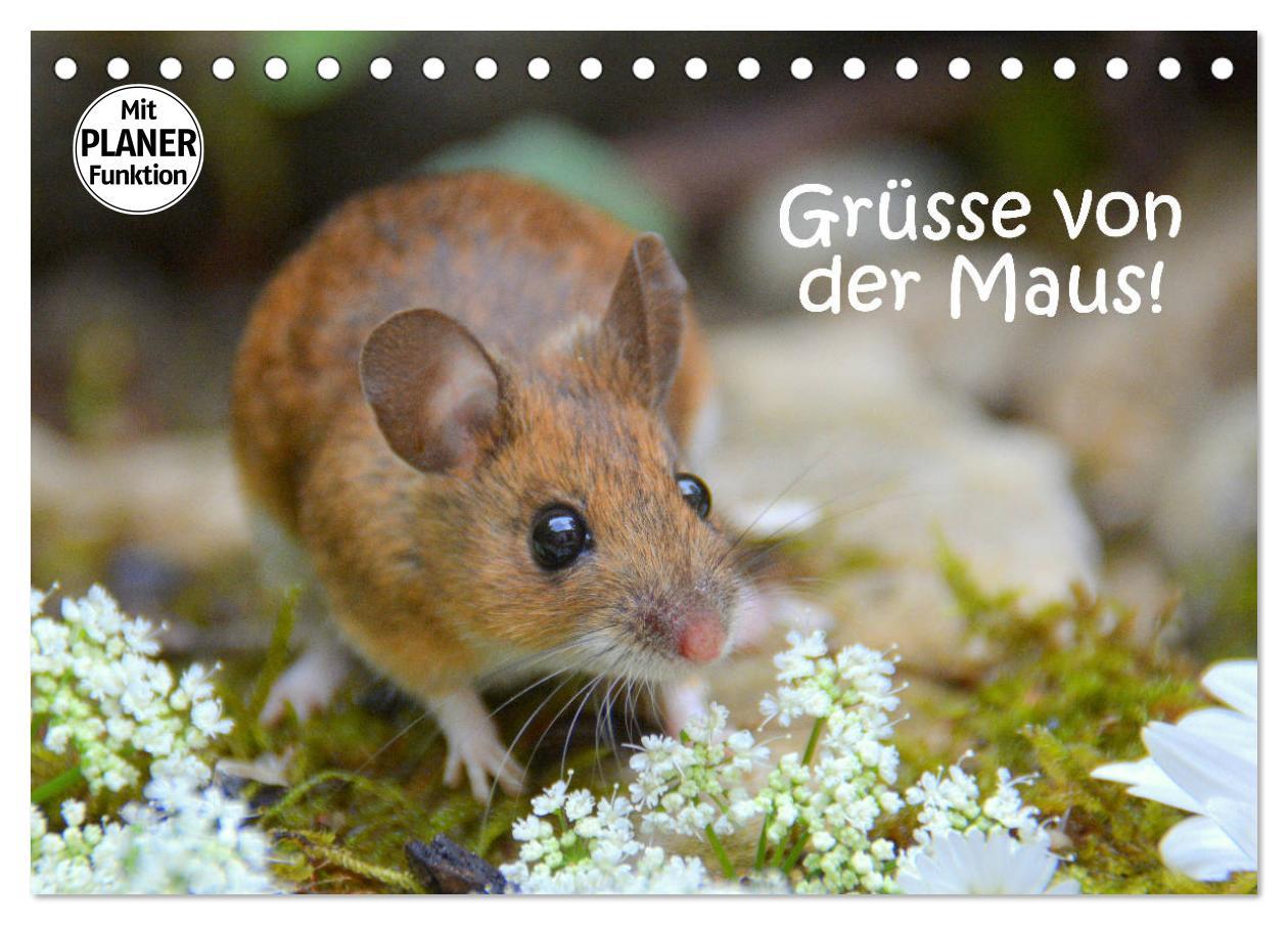 Cover: 9783435441297 | Grüsse von der Maus! (Tischkalender 2025 DIN A5 quer), CALVENDO...