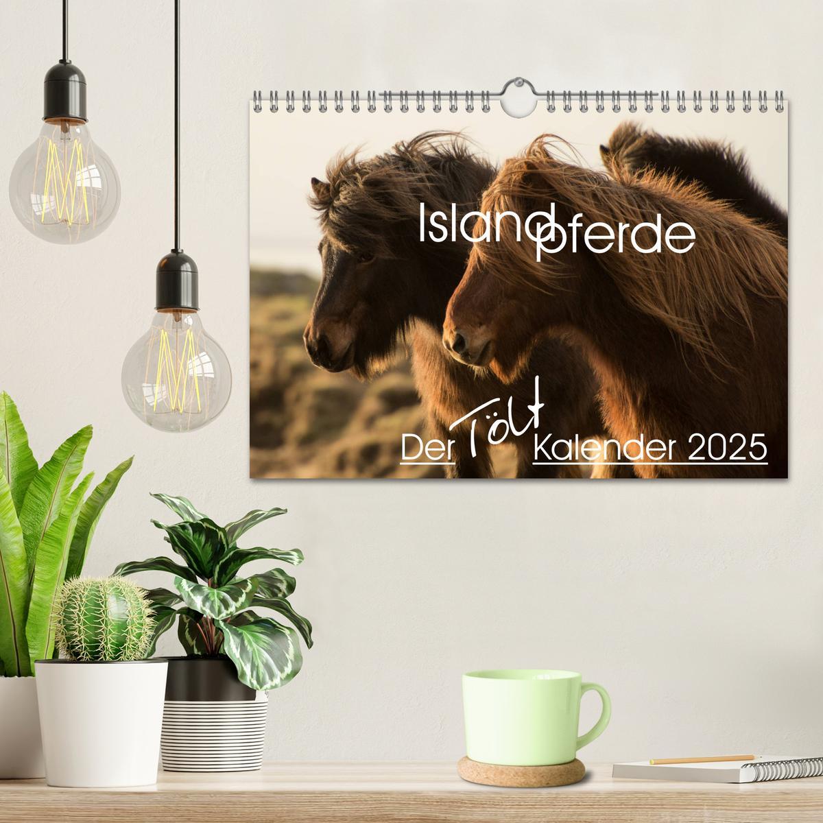 Bild: 9783435331055 | Islandpferde - Der Tölt Kalender (Wandkalender 2025 DIN A4 quer),...