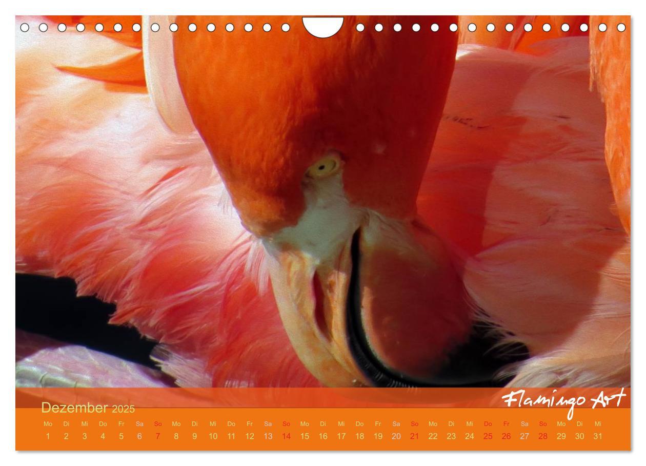 Bild: 9783435819706 | Flamingo Art 2025 (Wandkalender 2025 DIN A4 quer), CALVENDO...