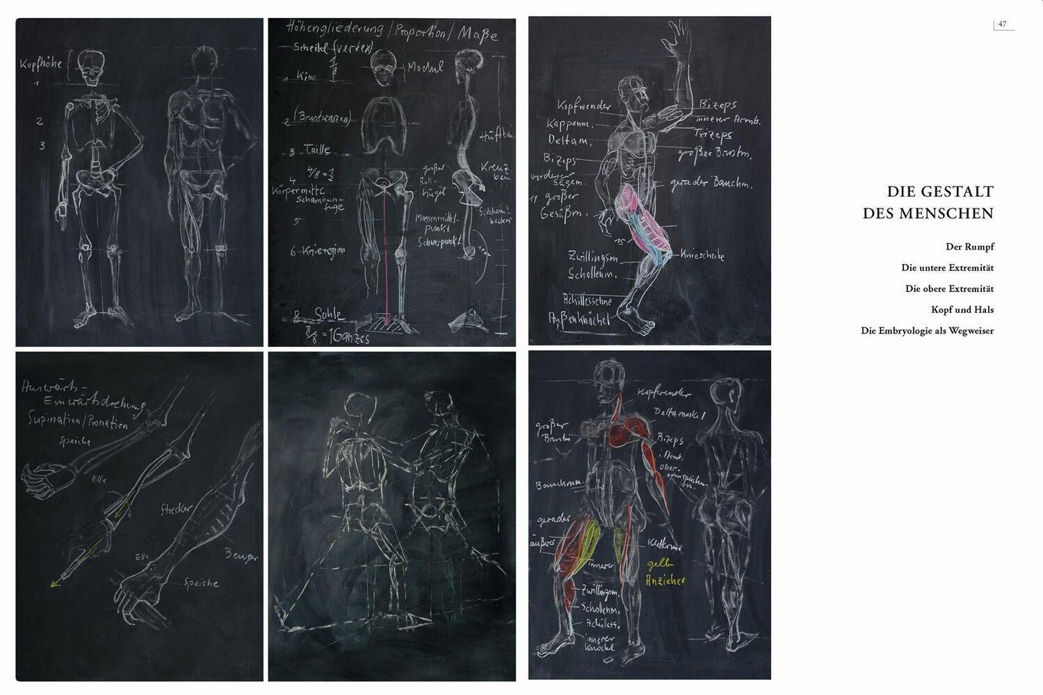 Bild: 9783968490526 | Gestalt und Anatomie | Ein Leitfaden für den bildnerischen Weg | Buch