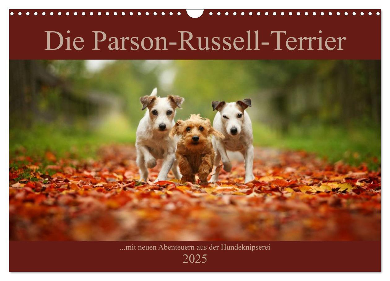 Cover: 9783435473199 | Die Parson-Russell-Terrier ...mit neuen Abenteuern aus der...