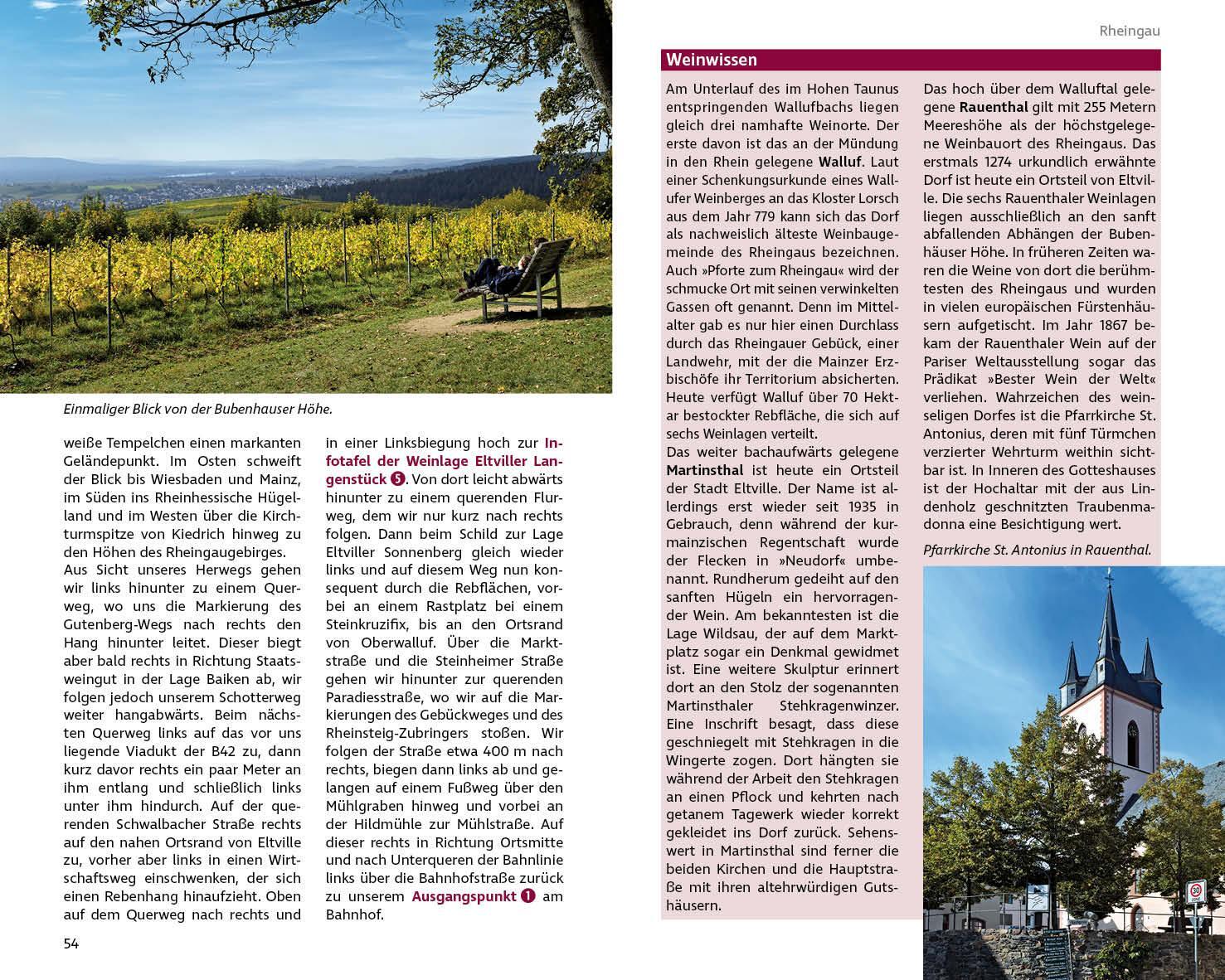 Bild: 9783763332908 | Wandern und Wein - Rheingau - Rheinhessen mit Bergstraße. | Buch