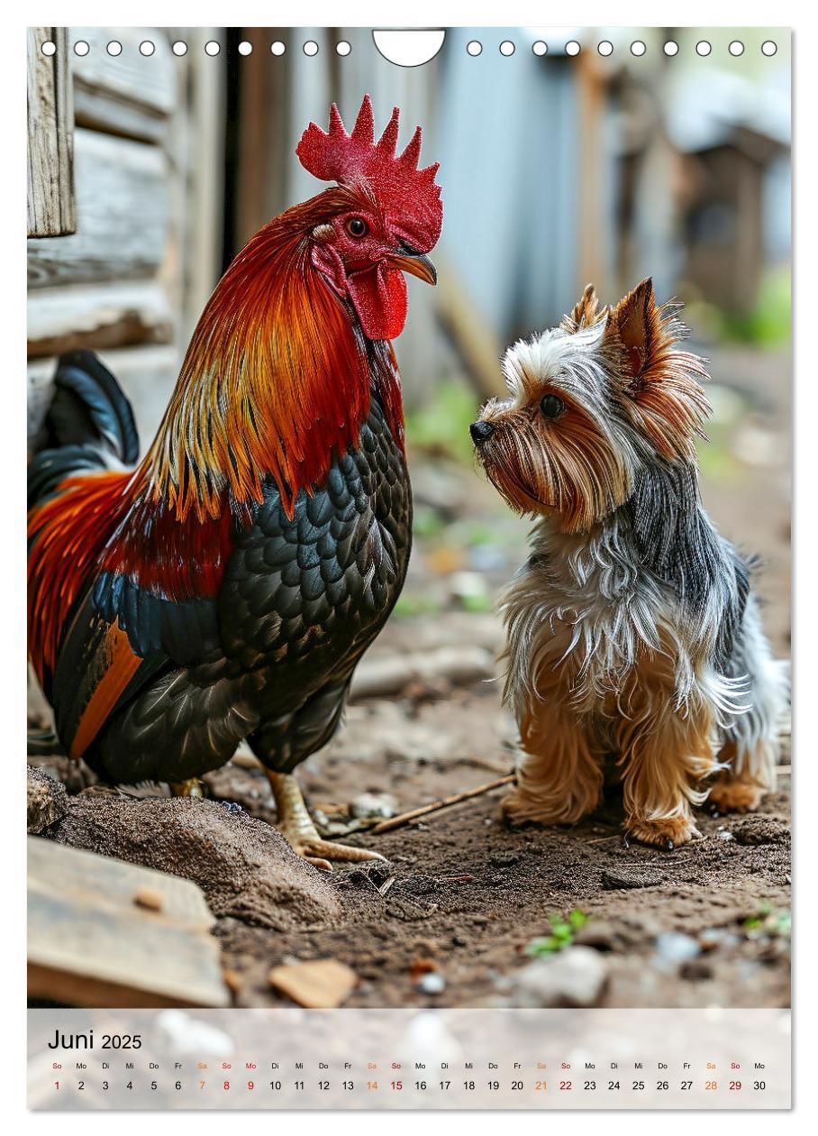 Bild: 9783383771699 | Yorkshire Terrier - ein Hund mit starkem Charakter (Wandkalender...