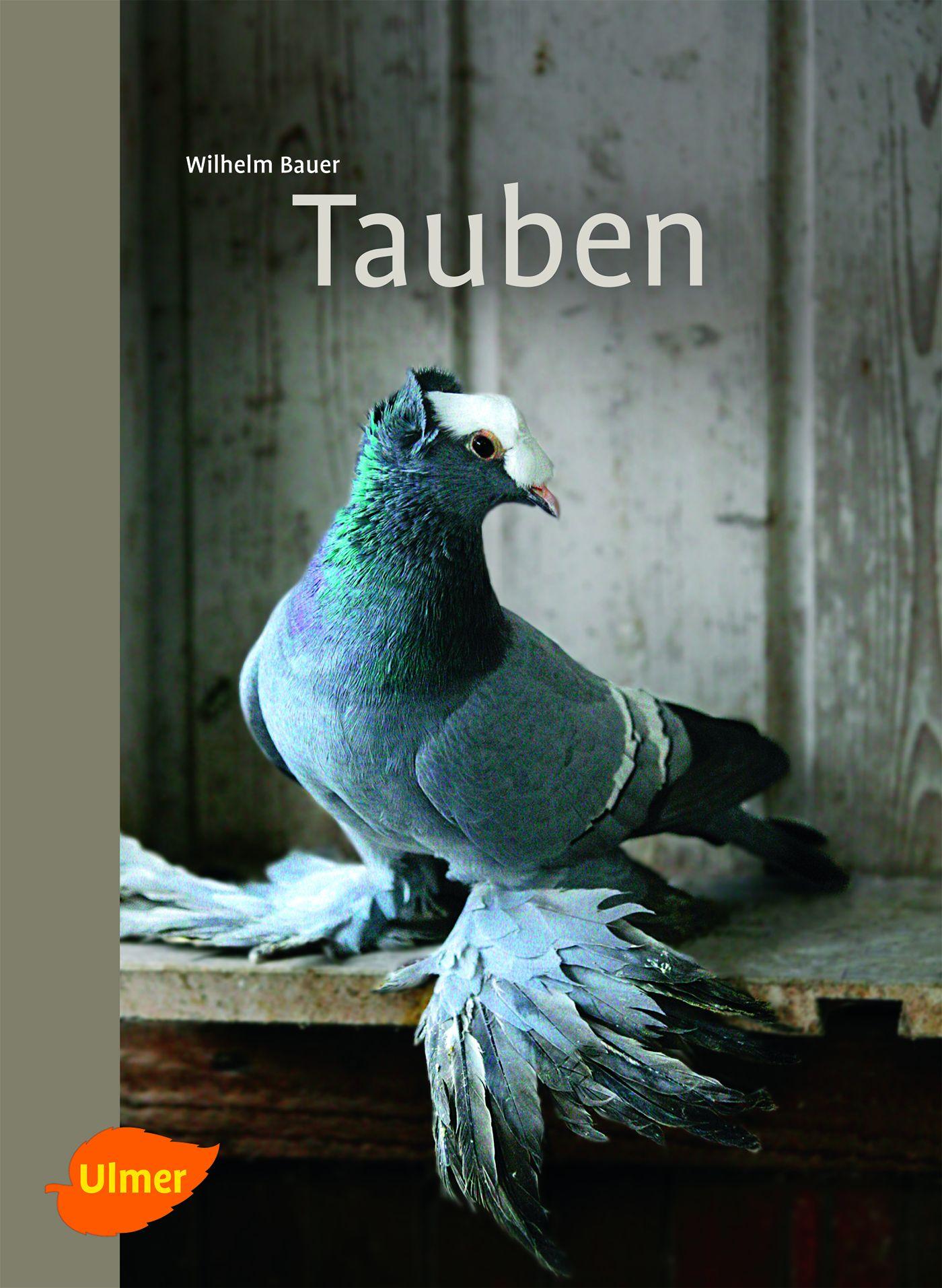 Cover: 9783800179756 | Tauben | Wilhelm Bauer | Taschenbuch | 96 S. | Deutsch | 2013