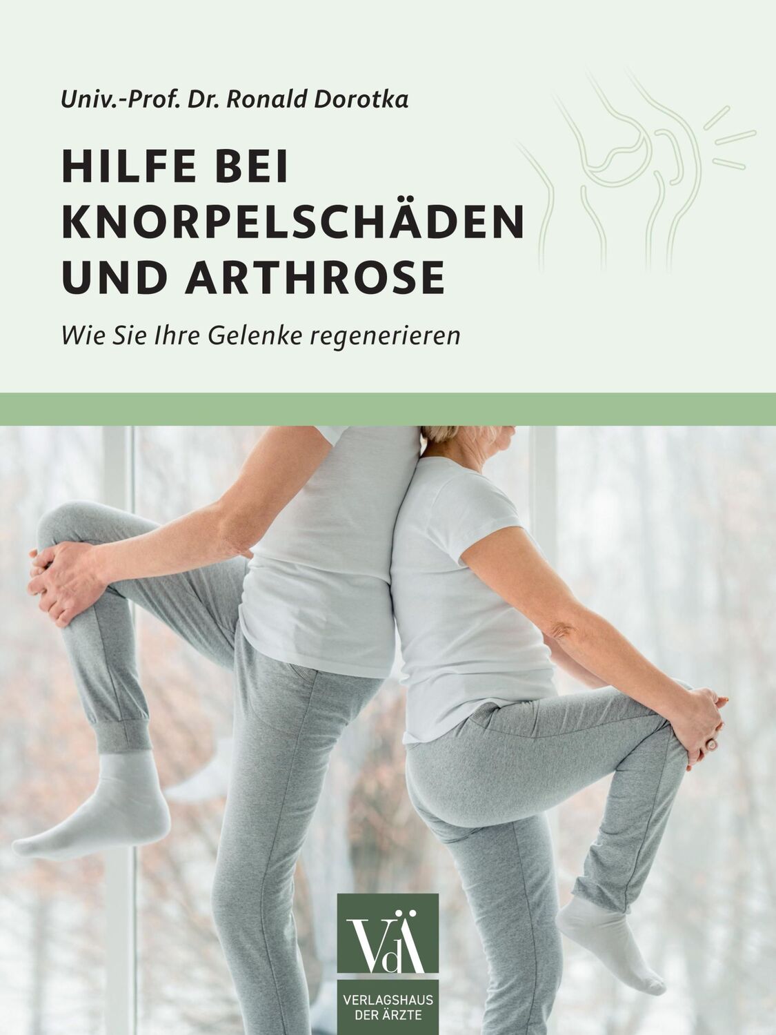 Cover: 9783990522851 | Hilfe bei Knorpelschäden und Arthrose | Ronald Dorotka | Taschenbuch