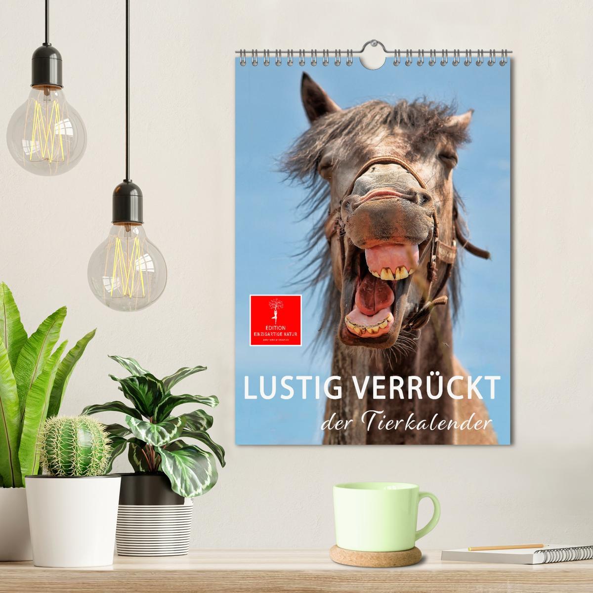 Bild: 9783435904563 | Lustig verrückt - der Tierkalender (Wandkalender 2025 DIN A4 hoch),...