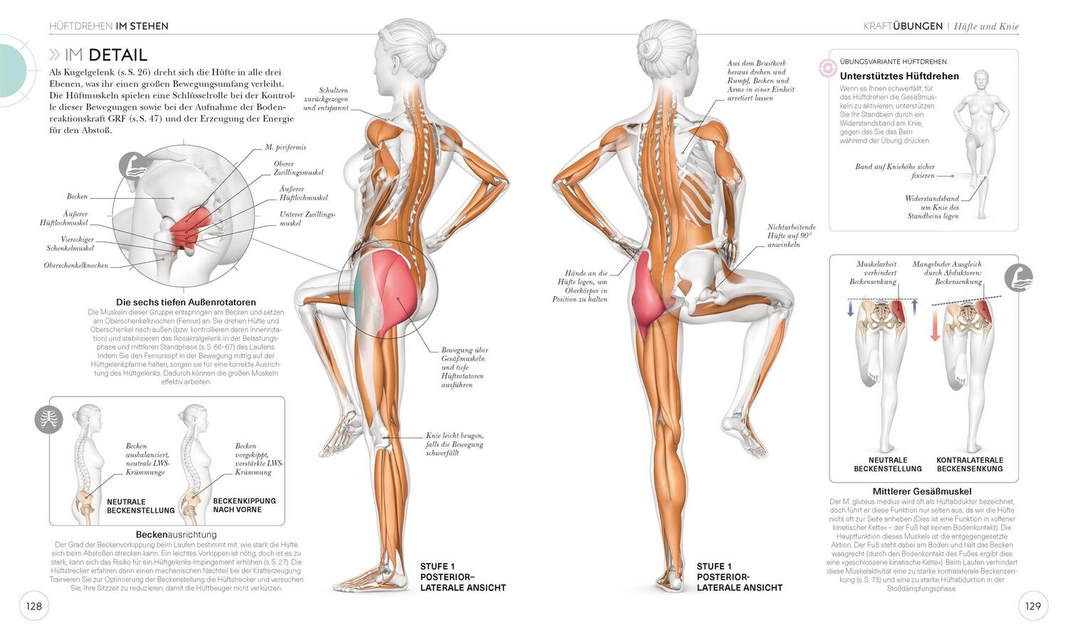 Bild: 9783831040155 | Lauftraining - Die Anatomie verstehen | Chris Napier | Taschenbuch