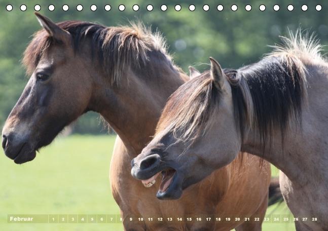 Bild: 9783660482171 | Dülmener Wildpferde - Gefährdete Nutztierrasse (Tischkalender...