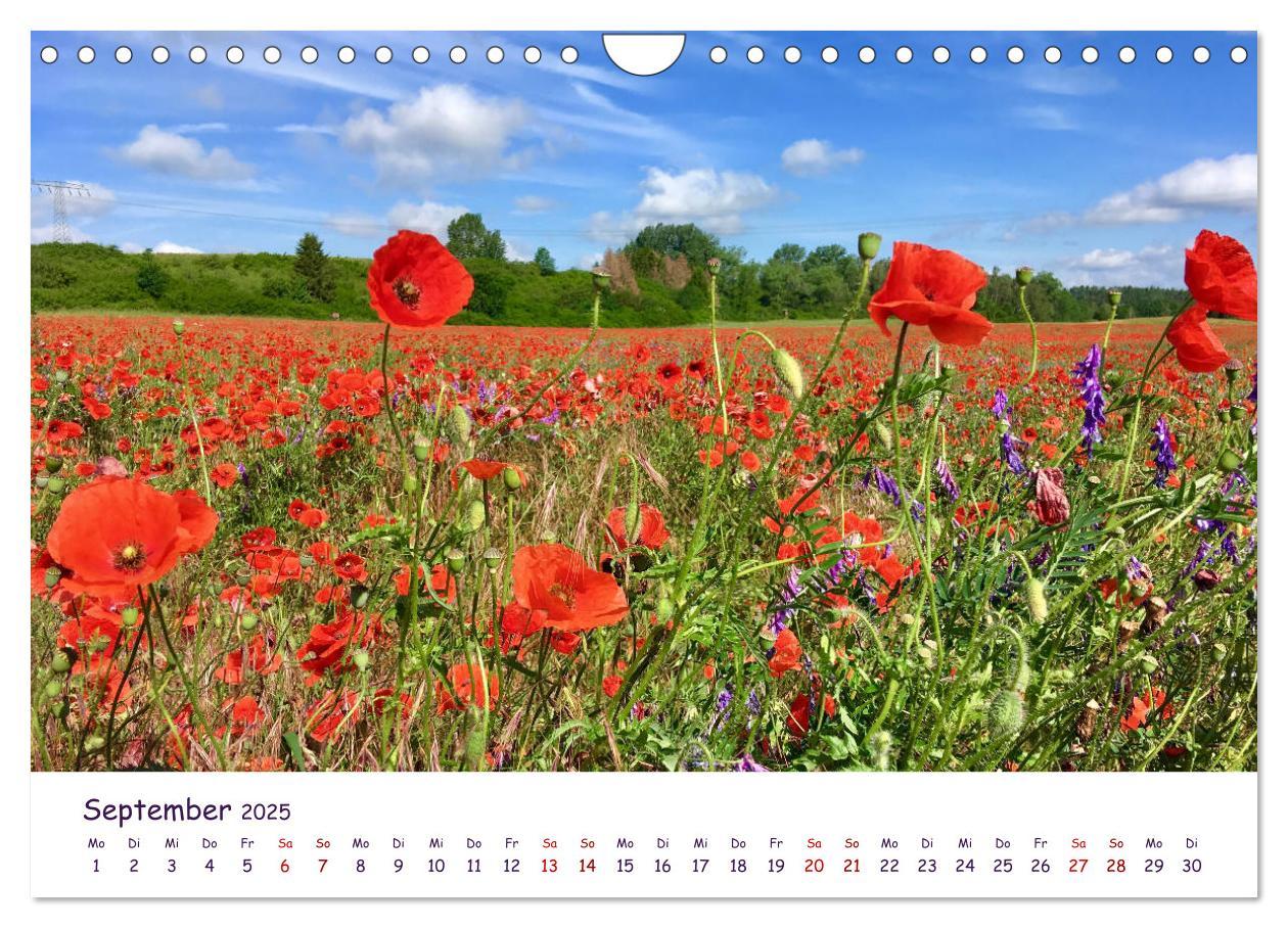 Bild: 9783435134540 | Natur und Landschaft Mecklenburg - Vorpommern 2025 (Wandkalender...