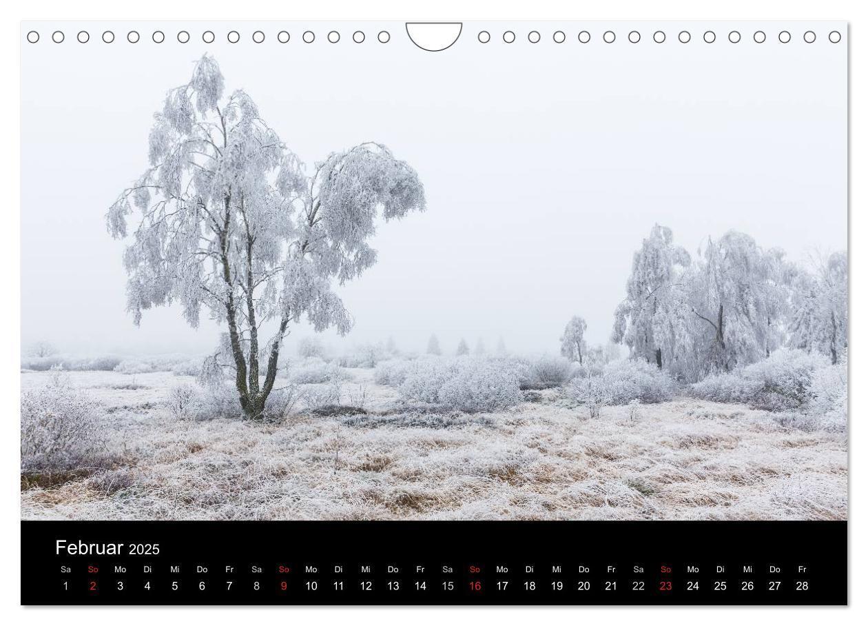 Bild: 9783435558087 | HOHES VENN - Einblicke in ein Hochmoor (Wandkalender 2025 DIN A4...