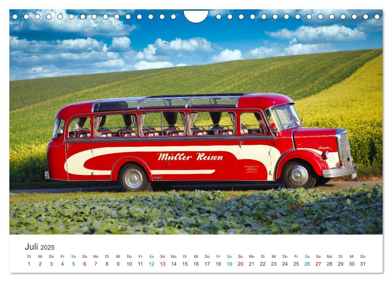 Bild: 9783383829895 | Omnibusse im Fokus (Wandkalender 2025 DIN A4 quer), CALVENDO...