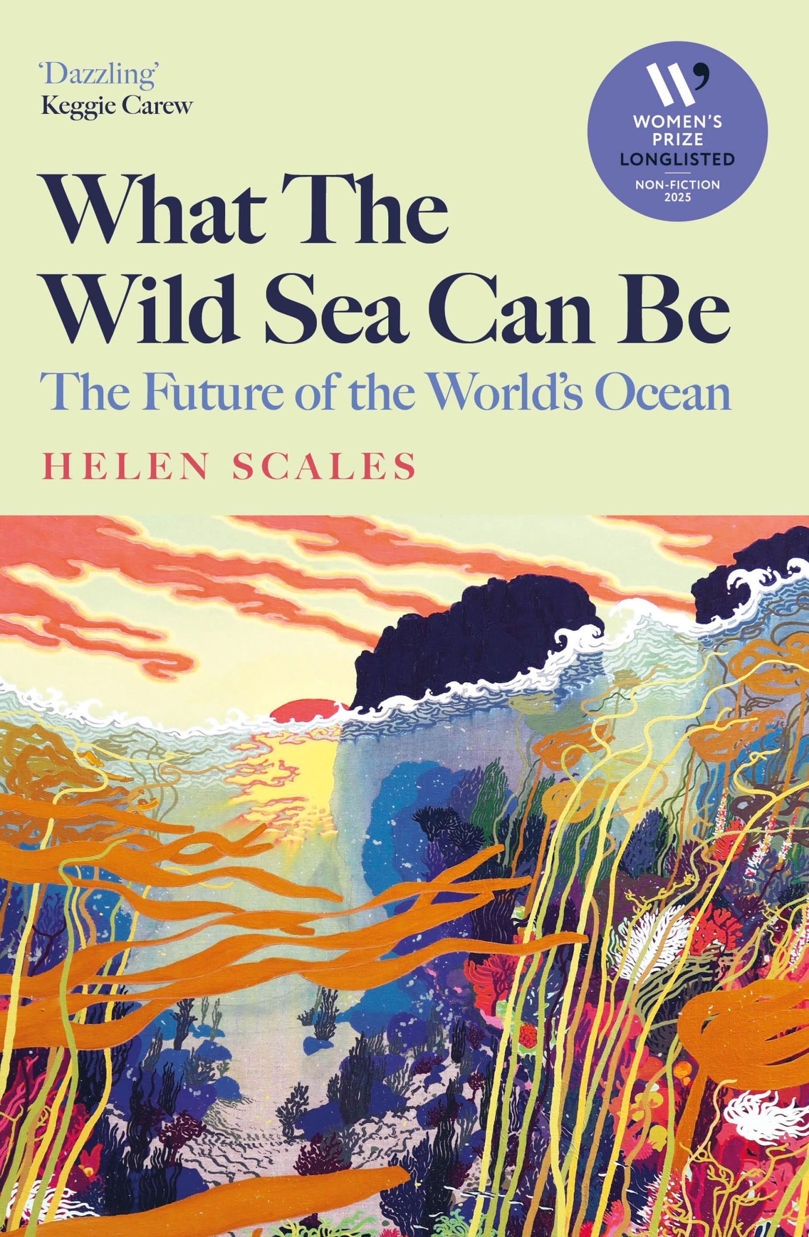 Cover: 9781804710500 | What the Wild Sea Can Be | The Future of the World's Ocean | Scales