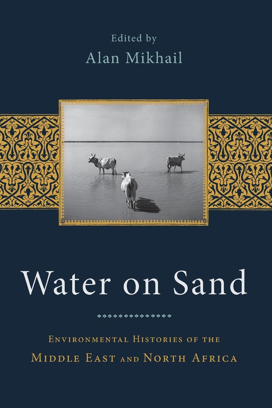 Cover: 9780199768660 | Water on Sand | Alan Mikhail | Taschenbuch | Paperback | Englisch