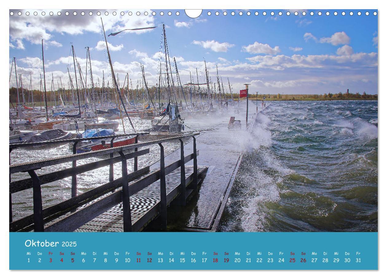 Bild: 9783383877865 | Mein Cospudener See (Wandkalender 2025 DIN A3 quer), CALVENDO...