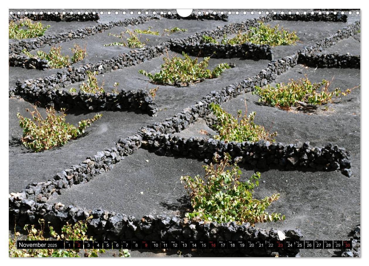 Bild: 9781325965960 | Lanzarote - Canary Islands (Wall Calendar 2025 DIN A3 landscape),...