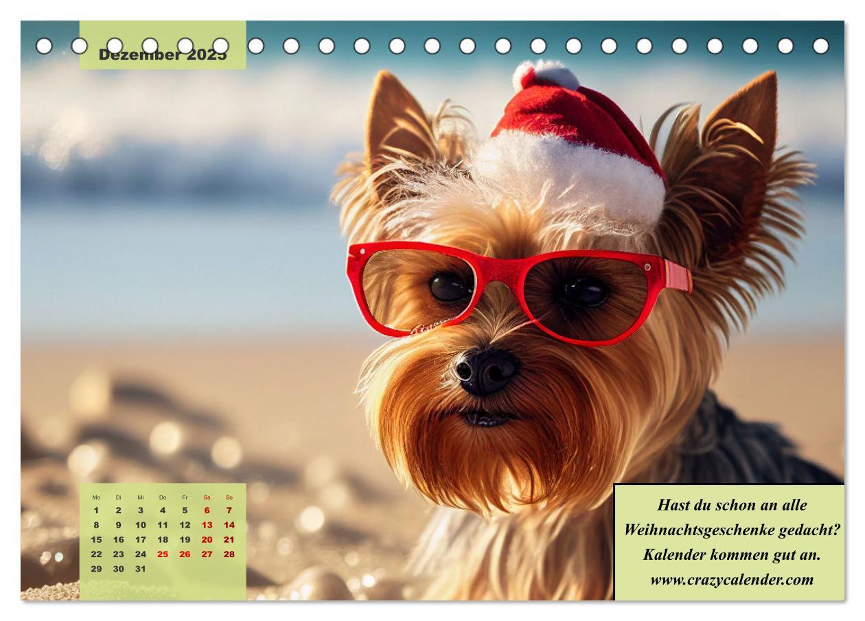 Bild: 9783383876707 | Der humoristische Yorkshire Terrier Kalender (Tischkalender 2025...