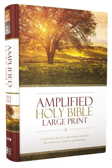 Cover: 9780310444039 | Amplified Bible-Am-Large Print | Zondervan | Buch | Gebunden | 2015