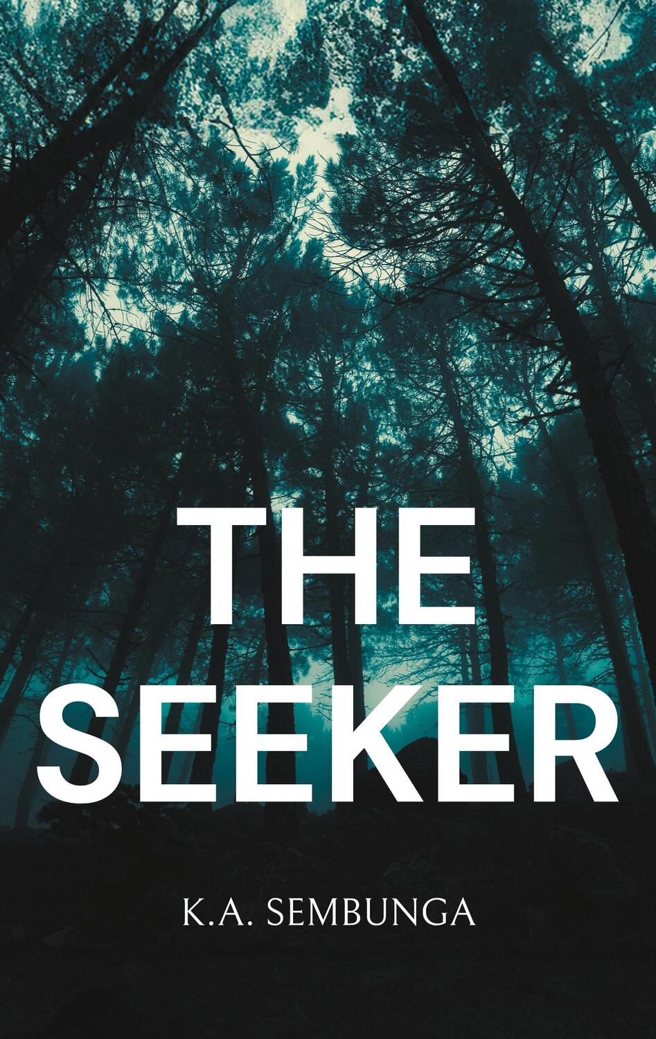 Cover: 9783758382383 | The Seeker | Let's Play | K. A. Sembunga | Taschenbuch | Paperback