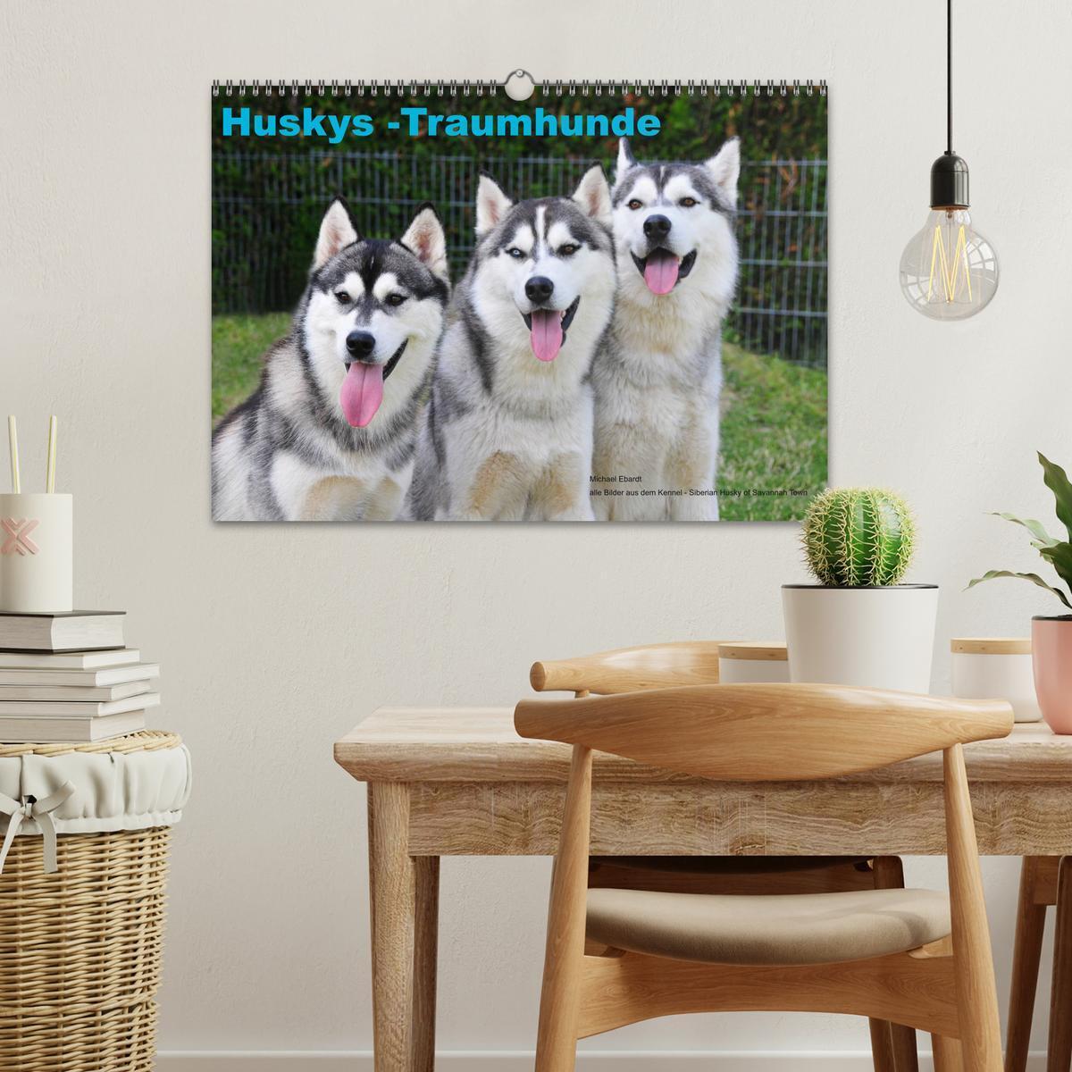 Bild: 9783435738939 | Huskys - Traumhunde (Wandkalender 2025 DIN A3 quer), CALVENDO...