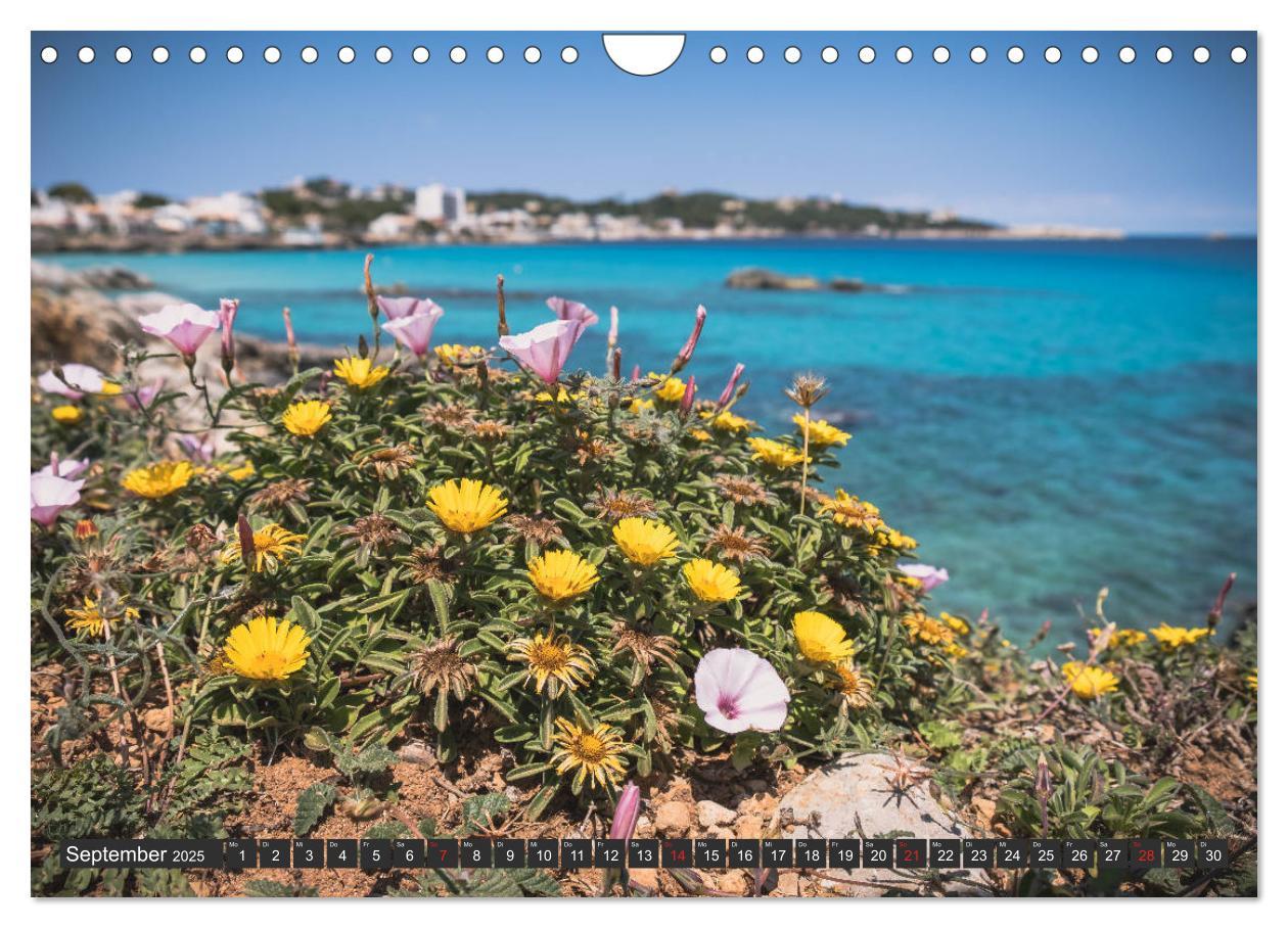 Bild: 9783435295043 | Cala Ratjada Kalender (Wandkalender 2025 DIN A4 quer), CALVENDO...